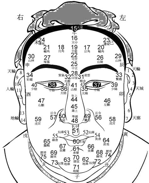 58歲面相|【面相流年圖】面相流年圖解析：由臉上看透你的命運。